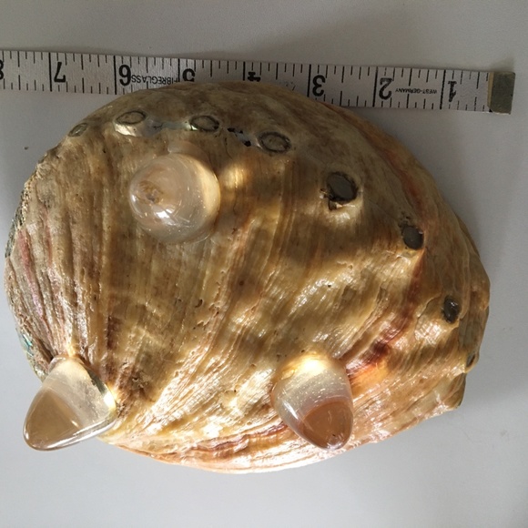 Vintage Abalone smudging Bowl. Jewelry Trinket Bowl. Natural shell - Picture 2 of 8